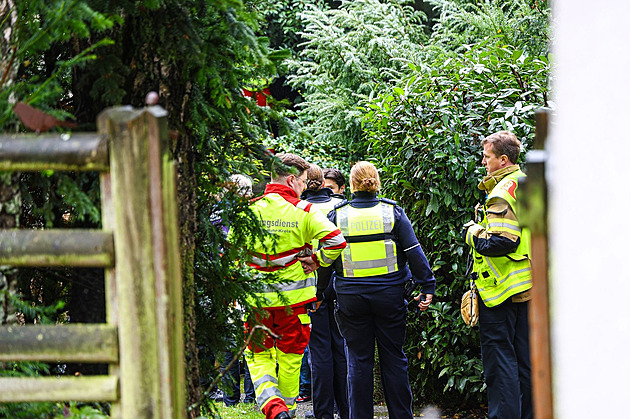 Adoptivní dcera německou starostku před pobodáním trýznila ve sklepě