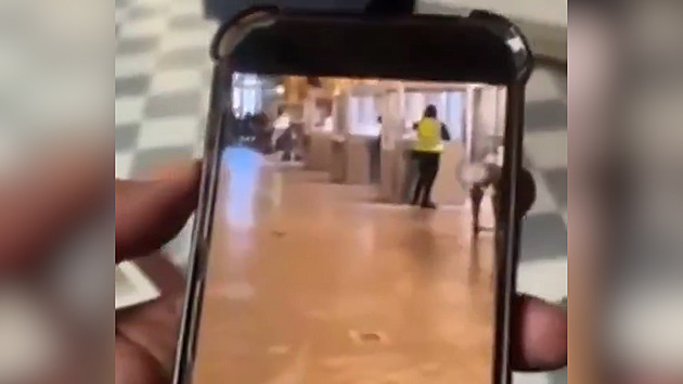 Šperky ukradené z Louvru se nikdy nevrátí, míní experti. Zloděje natočili při činu