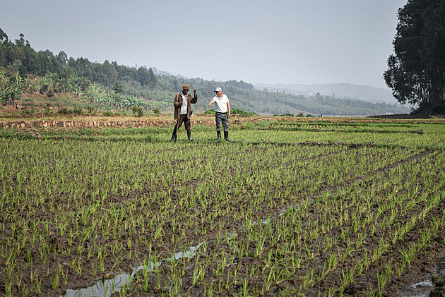 Ceny hnojiv rostou. Nejvíc zranitelné jsou především rozvojové země