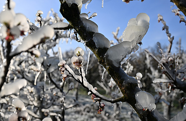 Rozdíl teplot je až dvacet stupňů, varují meteorologové před nočními mrazy